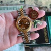 Rolex tiger auge full set