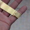 Patek Philippe buckle